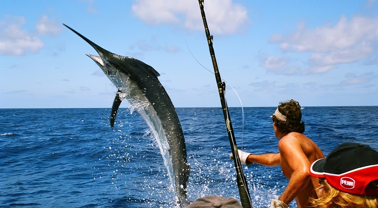 Pêche au gros