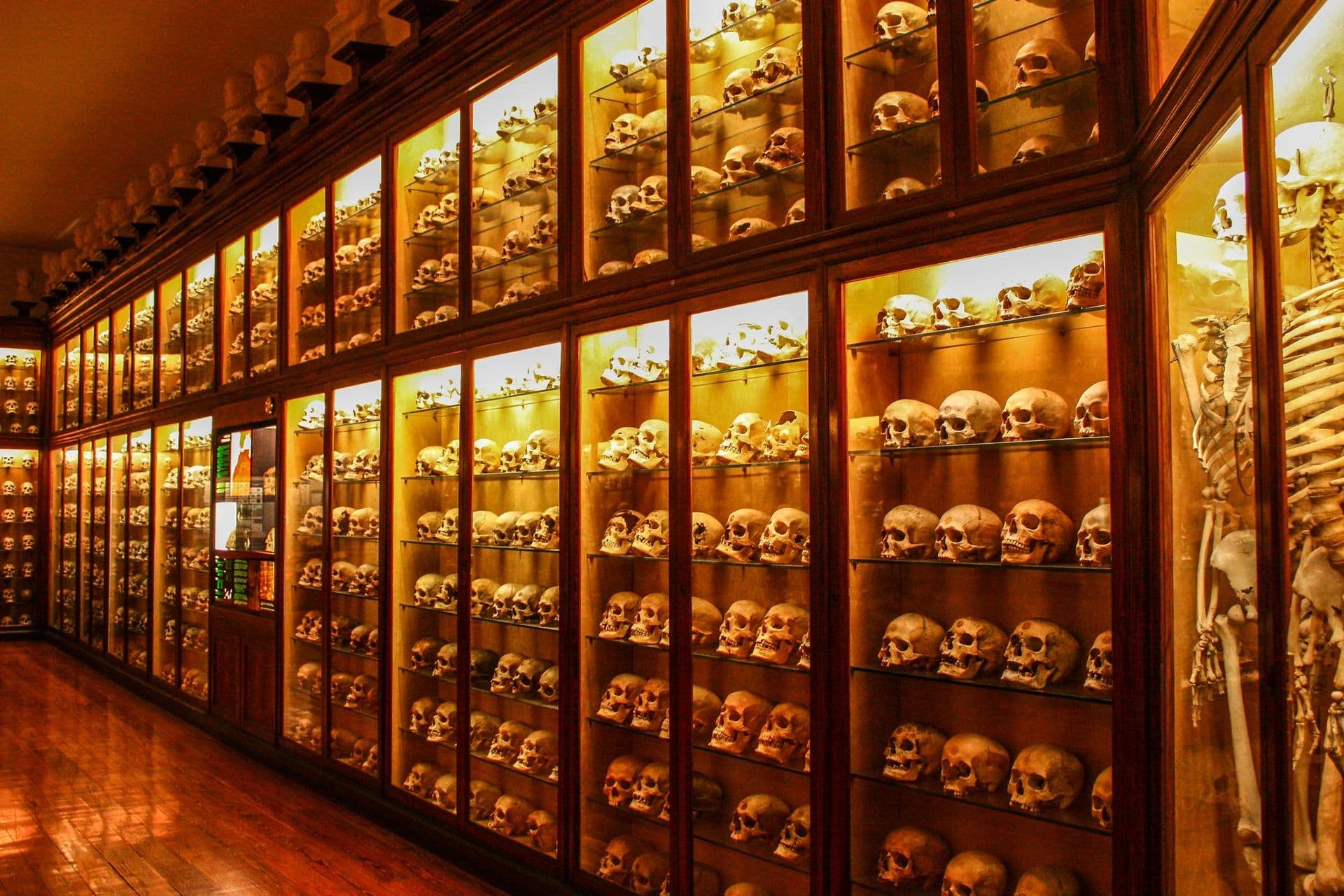 Las Palmas de Gran Canaria