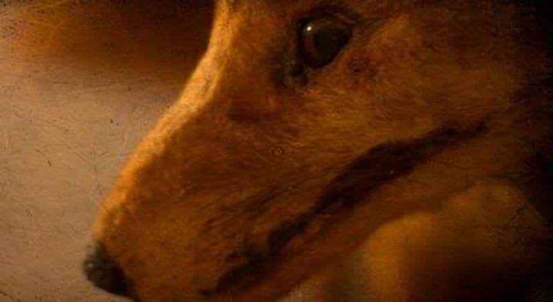 Escape game à Châteaudun