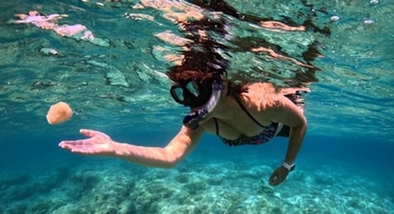 Snorkeling à Ajaccio
