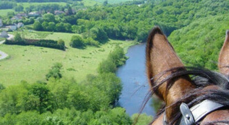 Séjour randonnée équestre près d'Auxerre