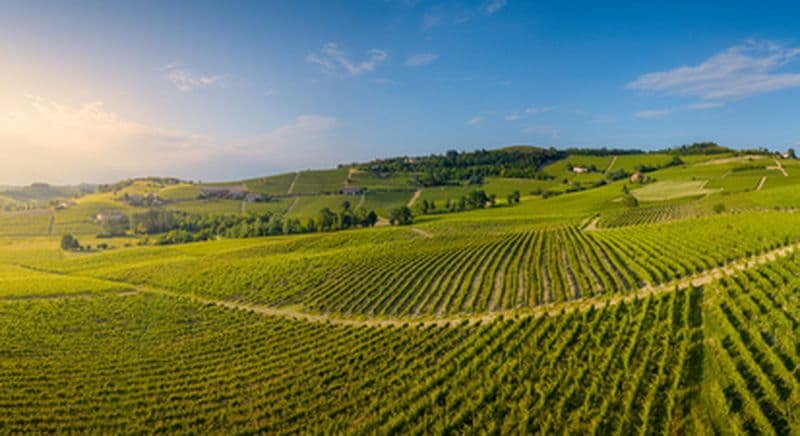 Vol en ULM autogire et cours d'œnologie près de Narbonne
