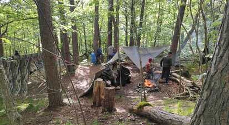 Stage de survie dans le Parc naturel régional des Volcans d'Auvergne