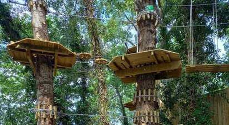 Accrobranche à Toulouse