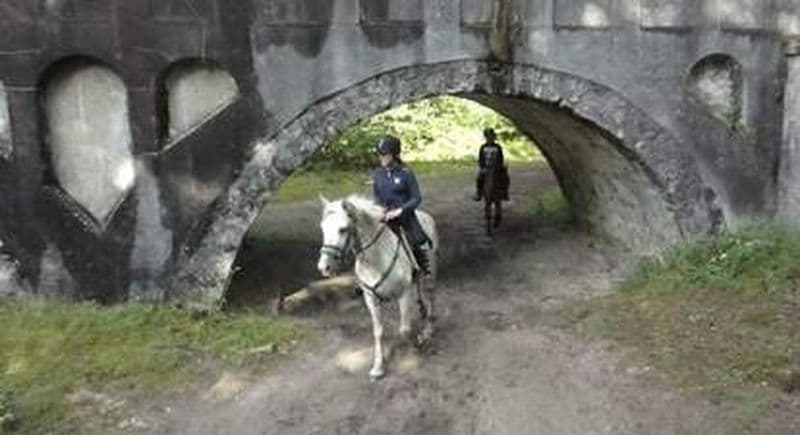 Stage d'équitation près de Soisy sur école