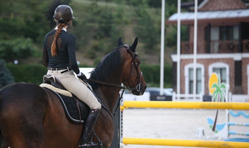 Cours d'équitation près de Toulon