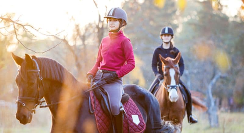 Balade à cheval dans le Vexin près de Cergy