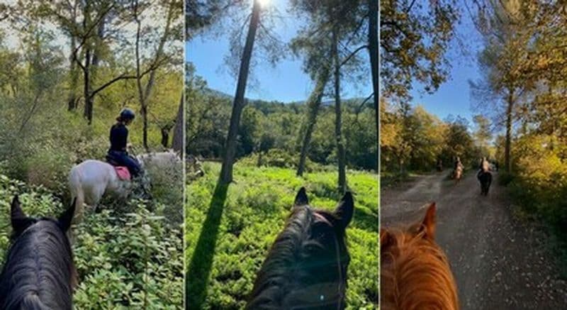 Balade à cheval à Mimet