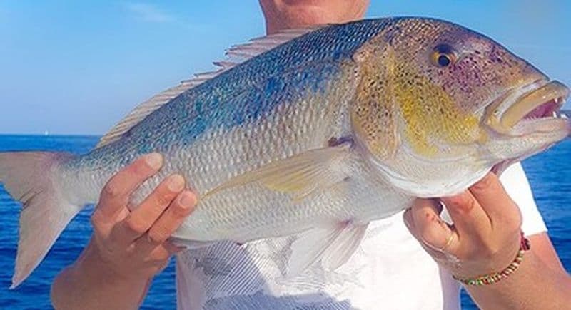 Pêche au gros - sortie privée en bateau en Corse à Tizzano - Sartène