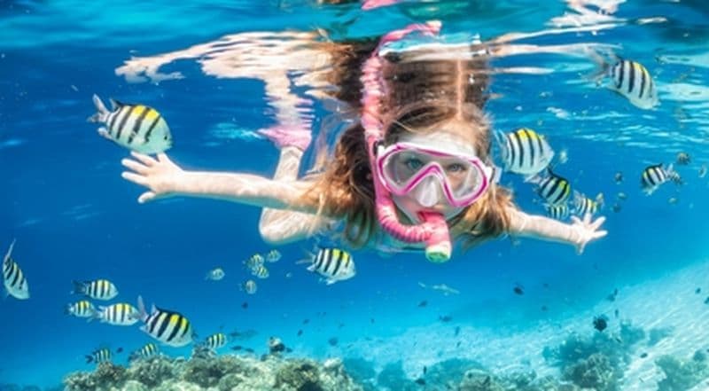 Snorkeling au Cap d'Agde