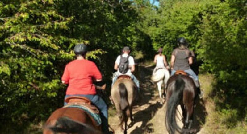 Balade à cheval à Morey Saint Denis près de Dijon