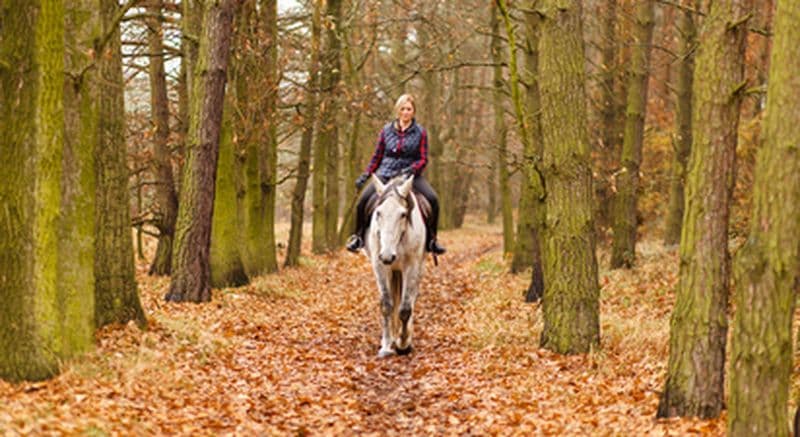 Balade à cheval à Saint-Christophe-en-Bresse