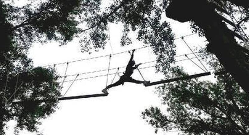 Parcours accrobranche à Millau