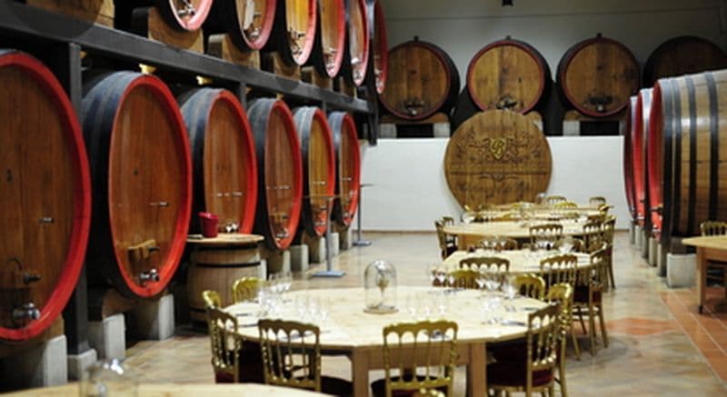 Dégustation de vins et visite de domaine à Châteauneuf-du-Pape près d'Avignon