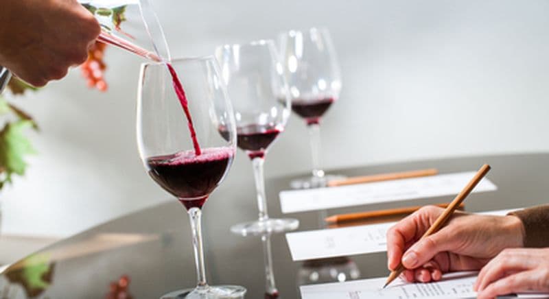 Dégustation de vins et atelier œnologique à Brest