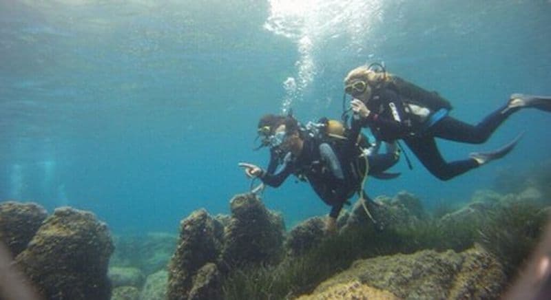 Baptême de Plongée à Nice