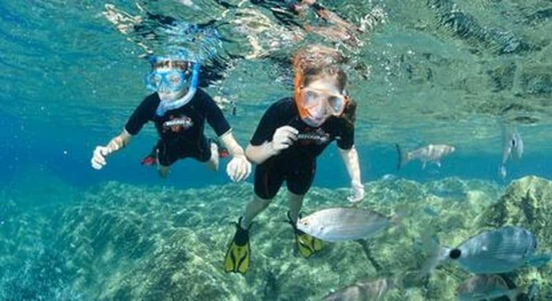 Snorkeling à Calvi, club de plongée L'Hippocampe