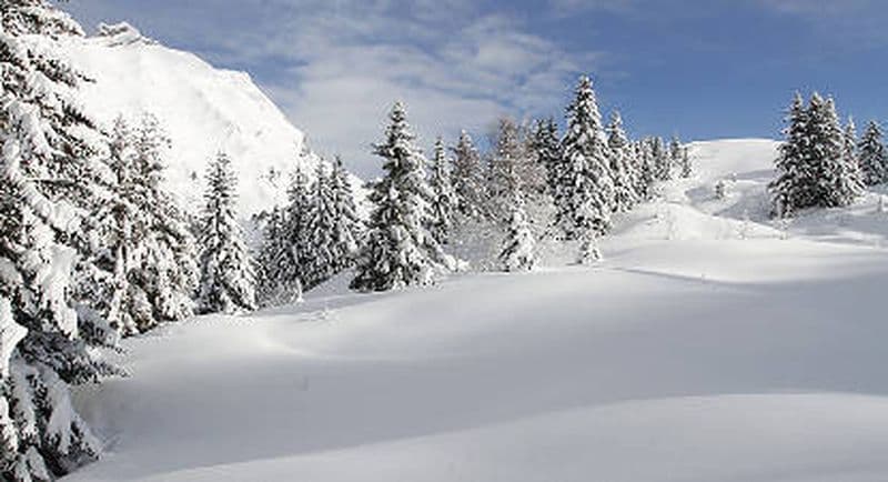 Stage de Survie Hivernal près d'Annecy