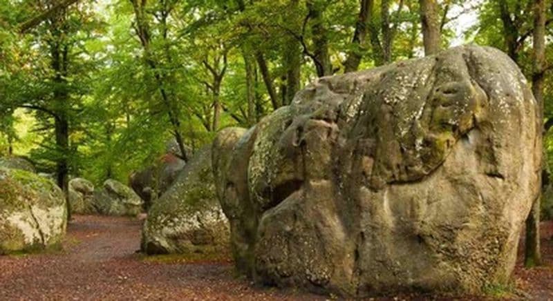 Randonnée accompagnée 2 jours à Fontainebleau
