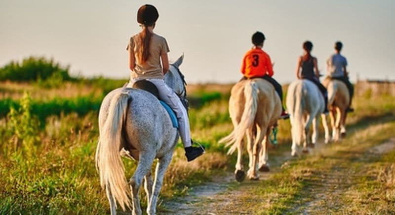 Balade à cheval à Méoune-les-Montrieux