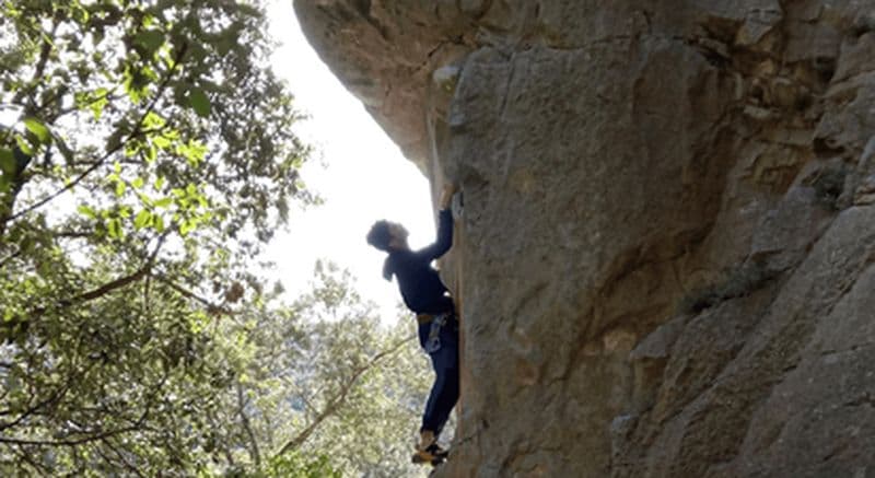 Escalade dans le Var en Provence Verte