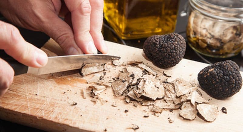 Visite d'une truffière et cours de cuisine autour de la truffe près d'Agen