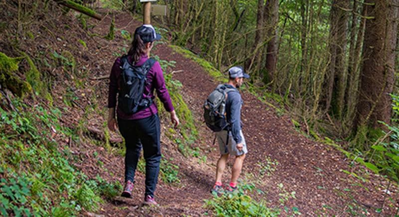 Randonnée pédestre dans le Haut-Jura près de Lons-le-Saunier