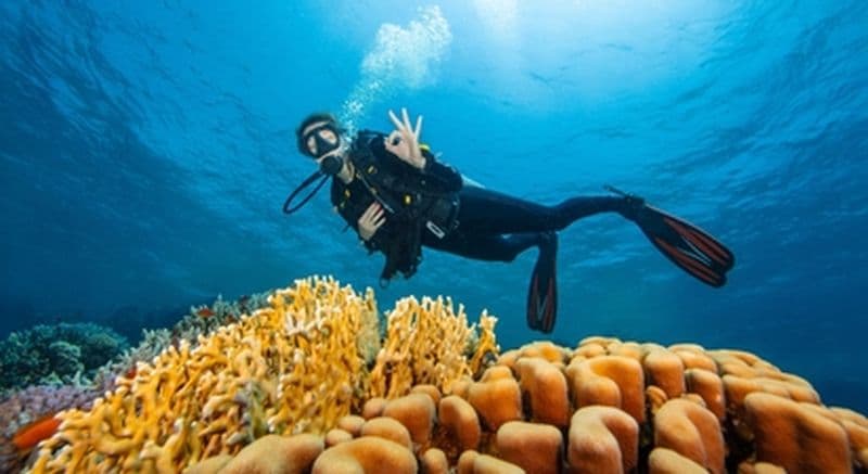 Formation plongée Scuba Diver Cap d'Agde