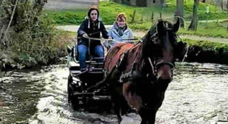 Balade en calèche à Mentheville près de Fécamp