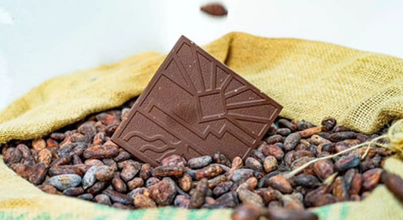 Atelier Fabrication de chocolat à partir de fèves de cacao à Saint-Jeannet près de Nice