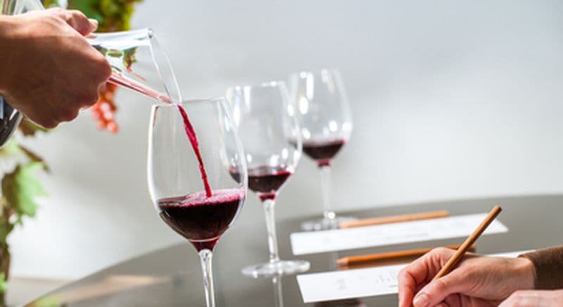 Cours d'œnologie à Angers