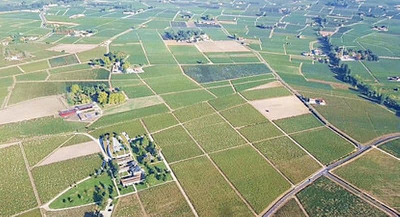 Baptême de l'air en Avion Léger à Libourne