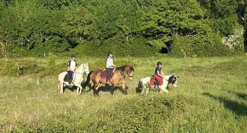 Balade à cheval aux portes de Poitiers
