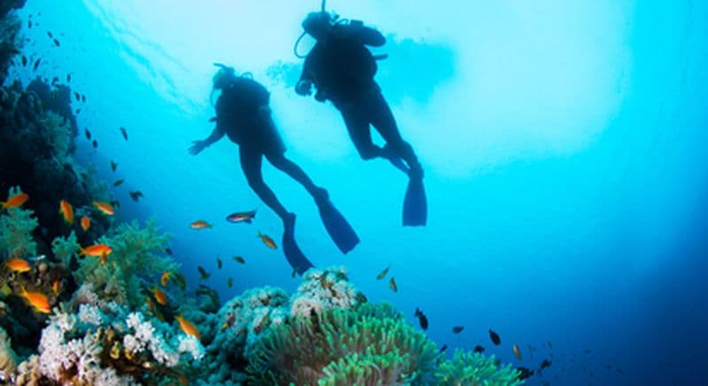 Baptême de plongée à 2 à Cerbère