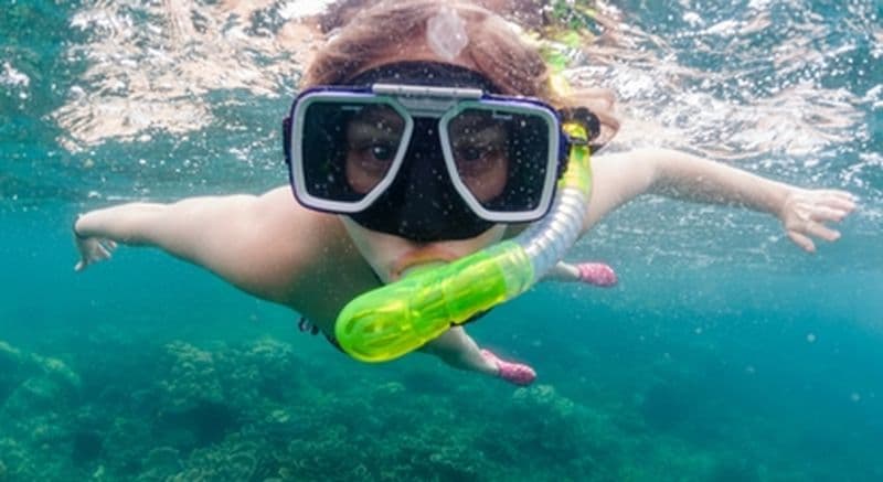 Snorkeling à Calvi