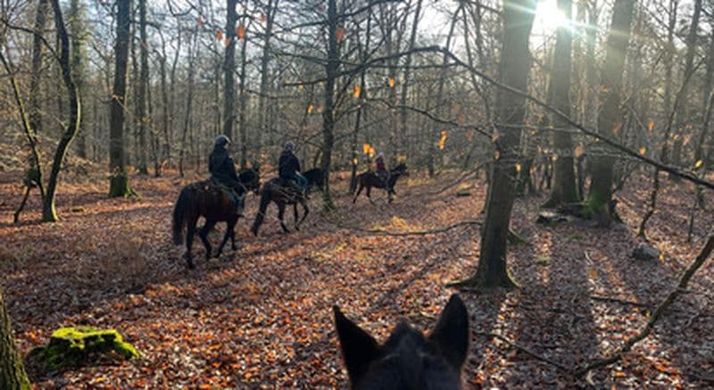 Balade à cheval près de Chantilly à Aumont-en-Halatte