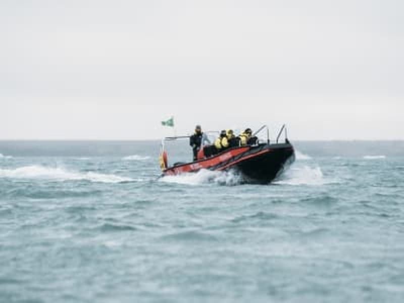 Excursion en bateau pour observer les fjords et les oiseaux jusqu'au glacier Nordenskiöld au Svalbard