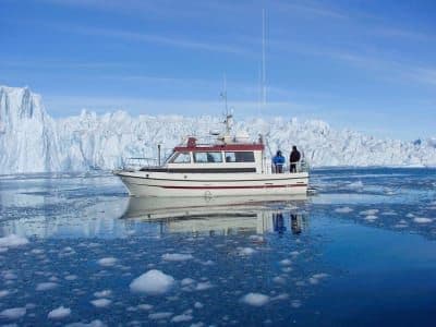 Observation des baleines en bateau à partir d'Ilulissat