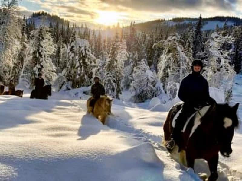 Expérience d'équitation en hiver/printemps à Skammestein près de Jotunheimen