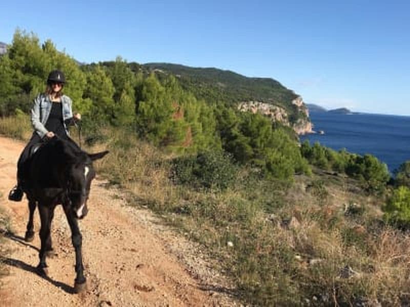 Randonnée à cheval guidée dans la vallée de Konavle au départ de Dubrovnik