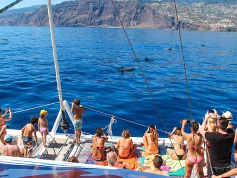 Excursion en bateau pour observer les dauphins et excursion en 4x4 à Madère (Skywalk, Cliff & Valleys)