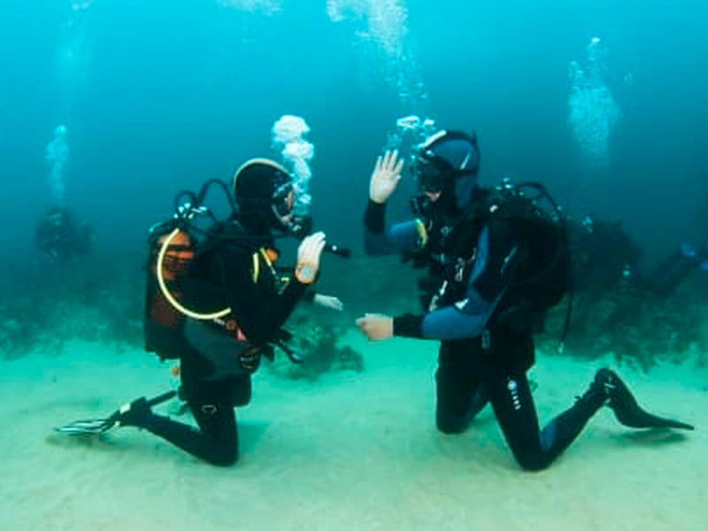 Baptême de plongée et snorkeling dans la réserve naturelle de Berlengas, Peniche