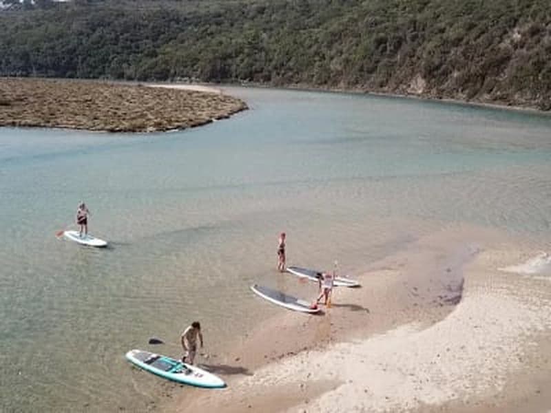 Excursion guidée en stand up paddle sur la rivière, de la plage d'Amoreira à Aljezur, près de Lagos