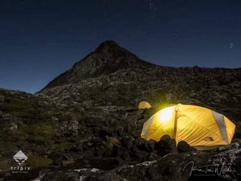 Excursion d'une nuit pour escalader le mont Pico à Ilha do Pico, Açores