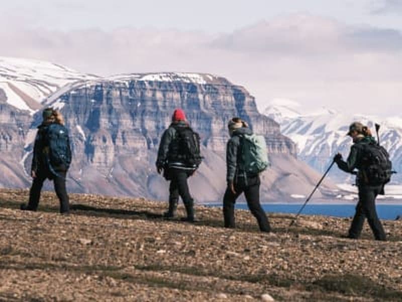 Excursion en bateau pour observer les fjords et les oiseaux jusqu'au glacier Nordenskiöld au Svalbard
