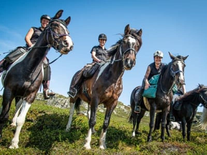 Excursion d'une nuit à cheval dans le Skammestein près de Jotunheimen