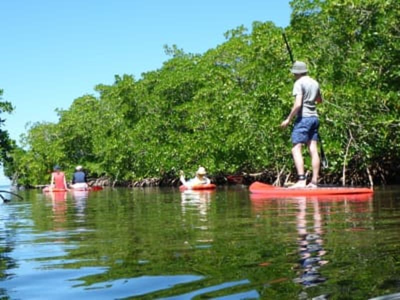 Billet Excursion stand up paddle depuis la plage de Babin, Guadeloupe