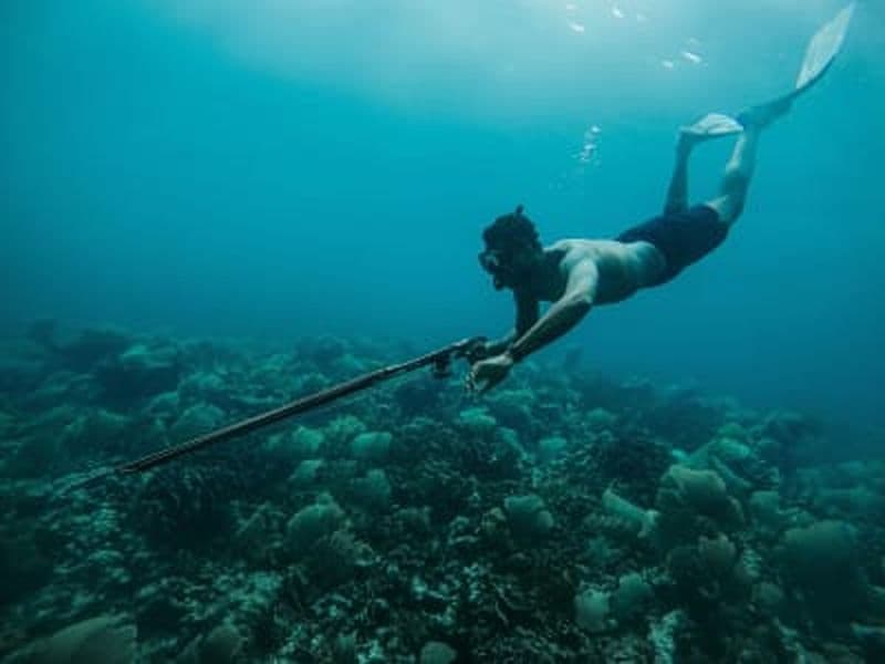 Découverte de la pêche sous-marine à São Miguel dans les Açores