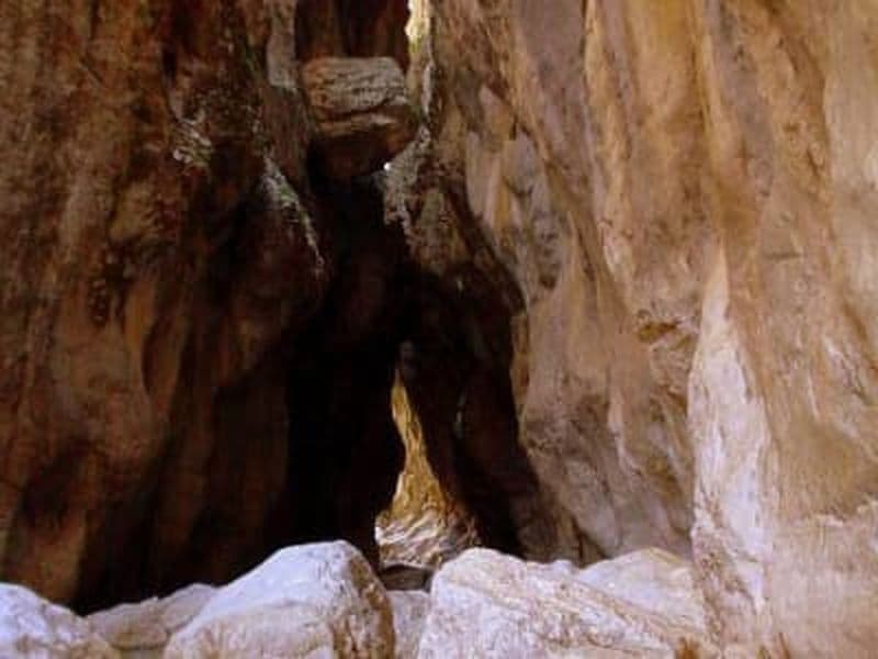 Excursion de trekking à Pindos, près de Grevena