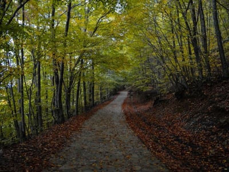 Excursion privée en jeep dans les montagnes Dirfys de l'île d'Eubée au départ d'Athènes